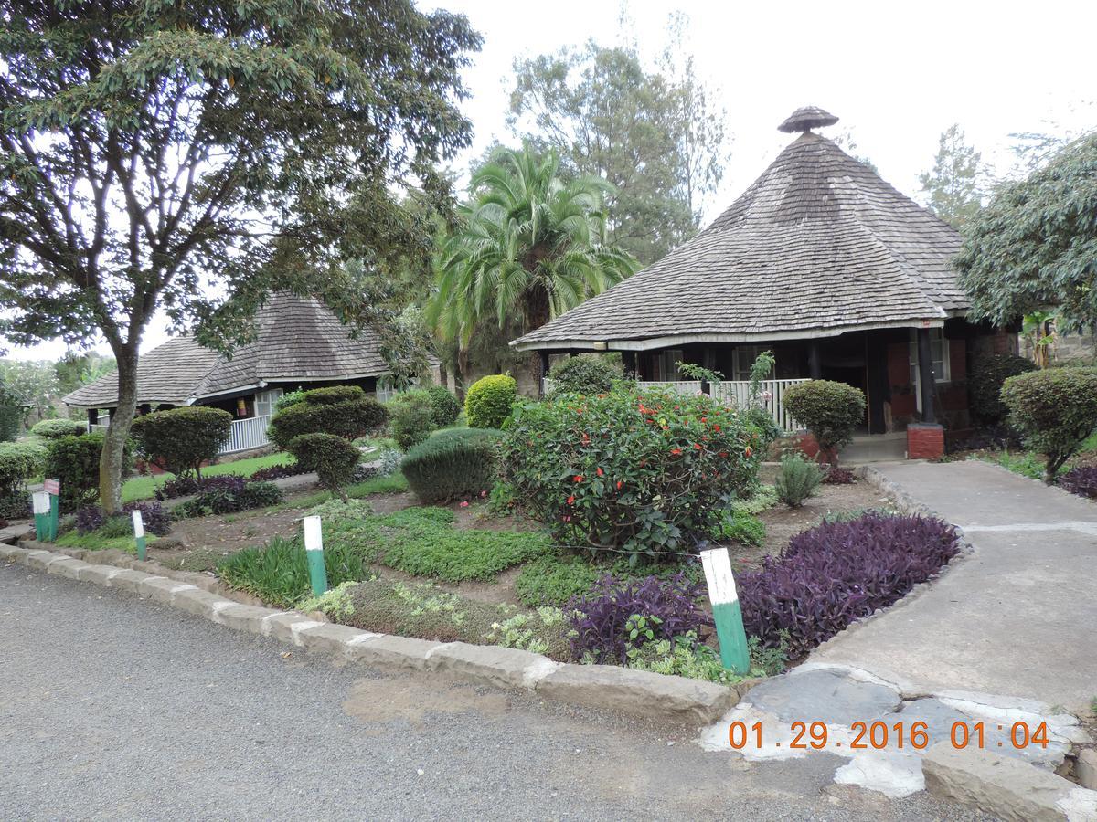 Lions Court Lodge Nanyuki Exterior photo