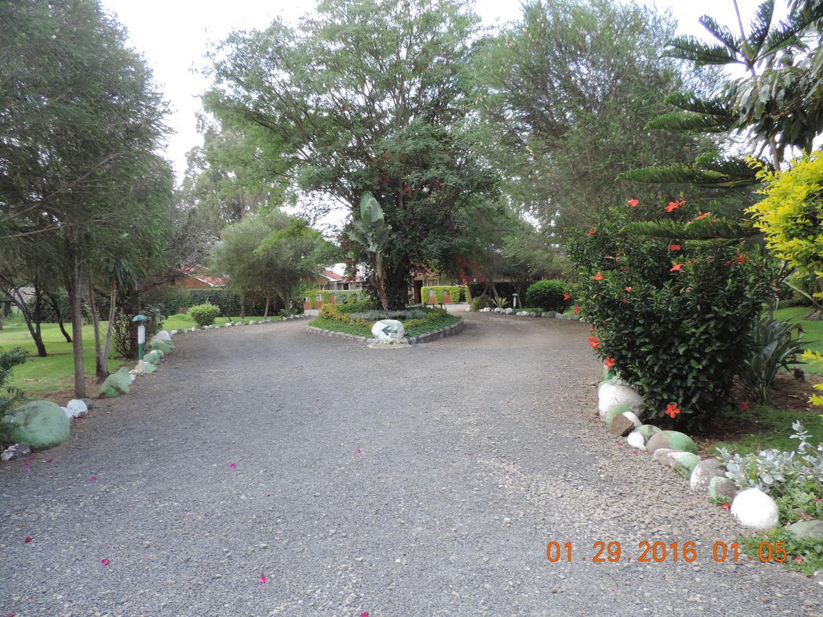 Lions Court Lodge Nanyuki Exterior photo