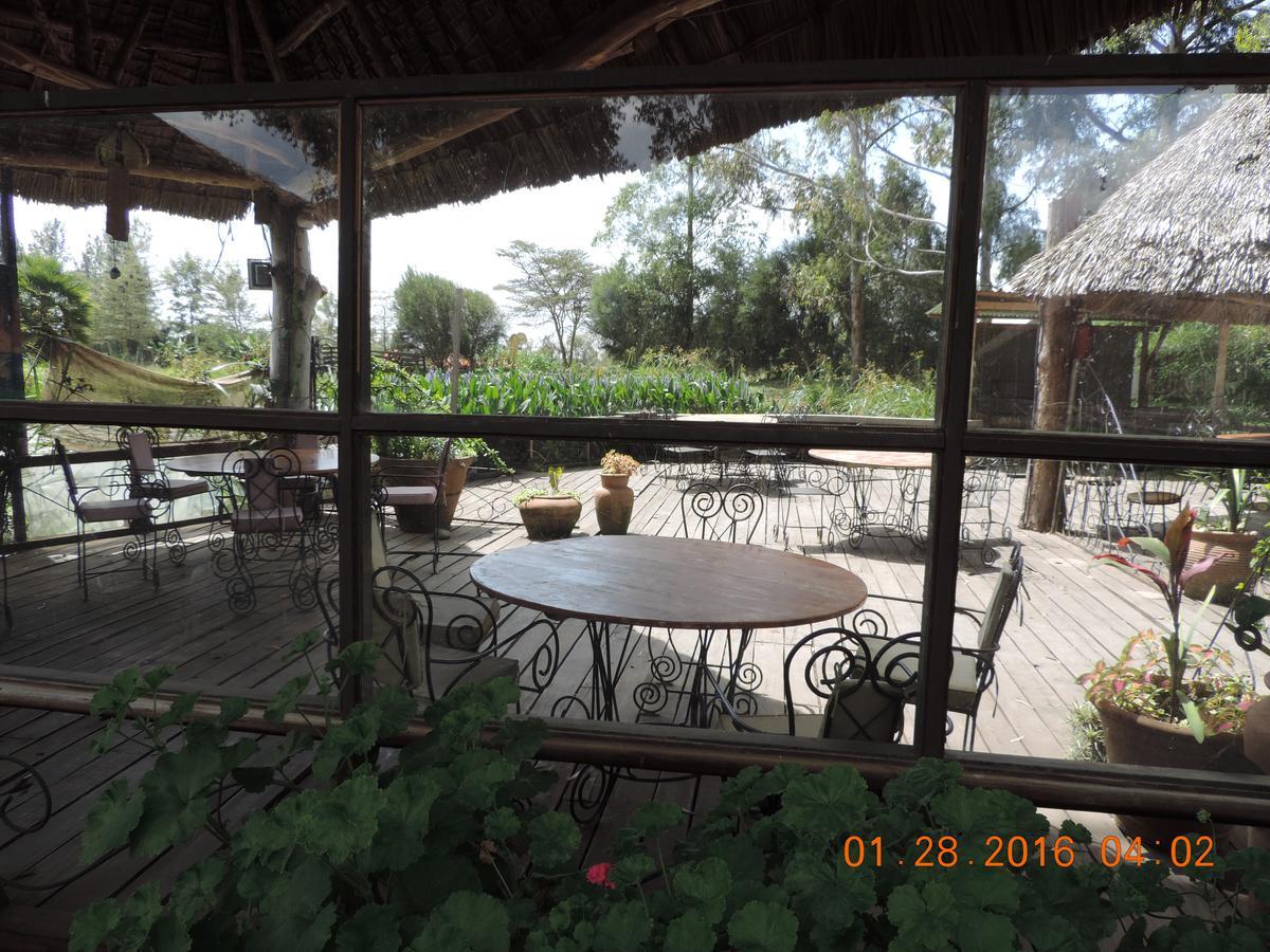 Lions Court Lodge Nanyuki Exterior photo