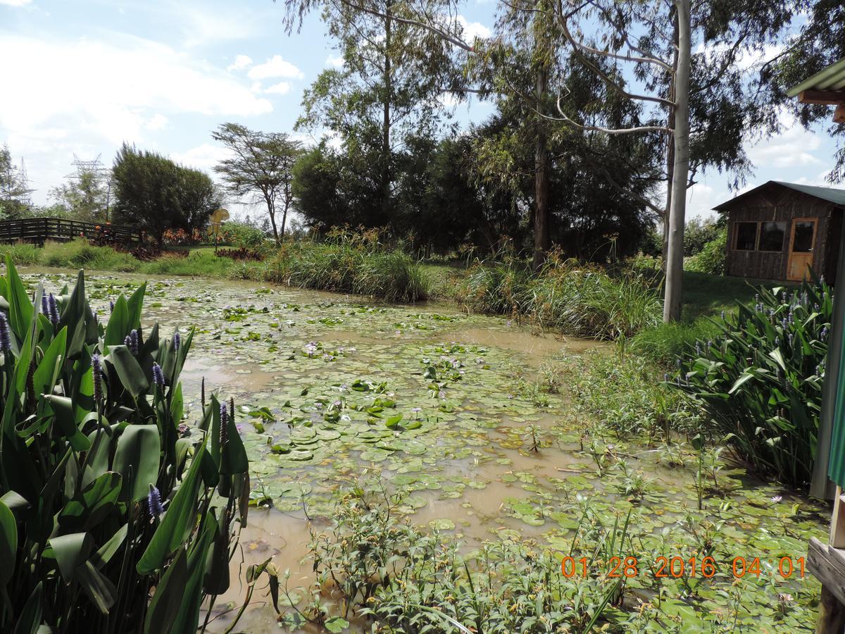 Lions Court Lodge Nanyuki Exterior photo
